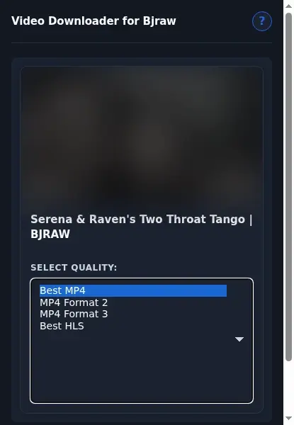 BJRaw Video Downloader format dropdown options