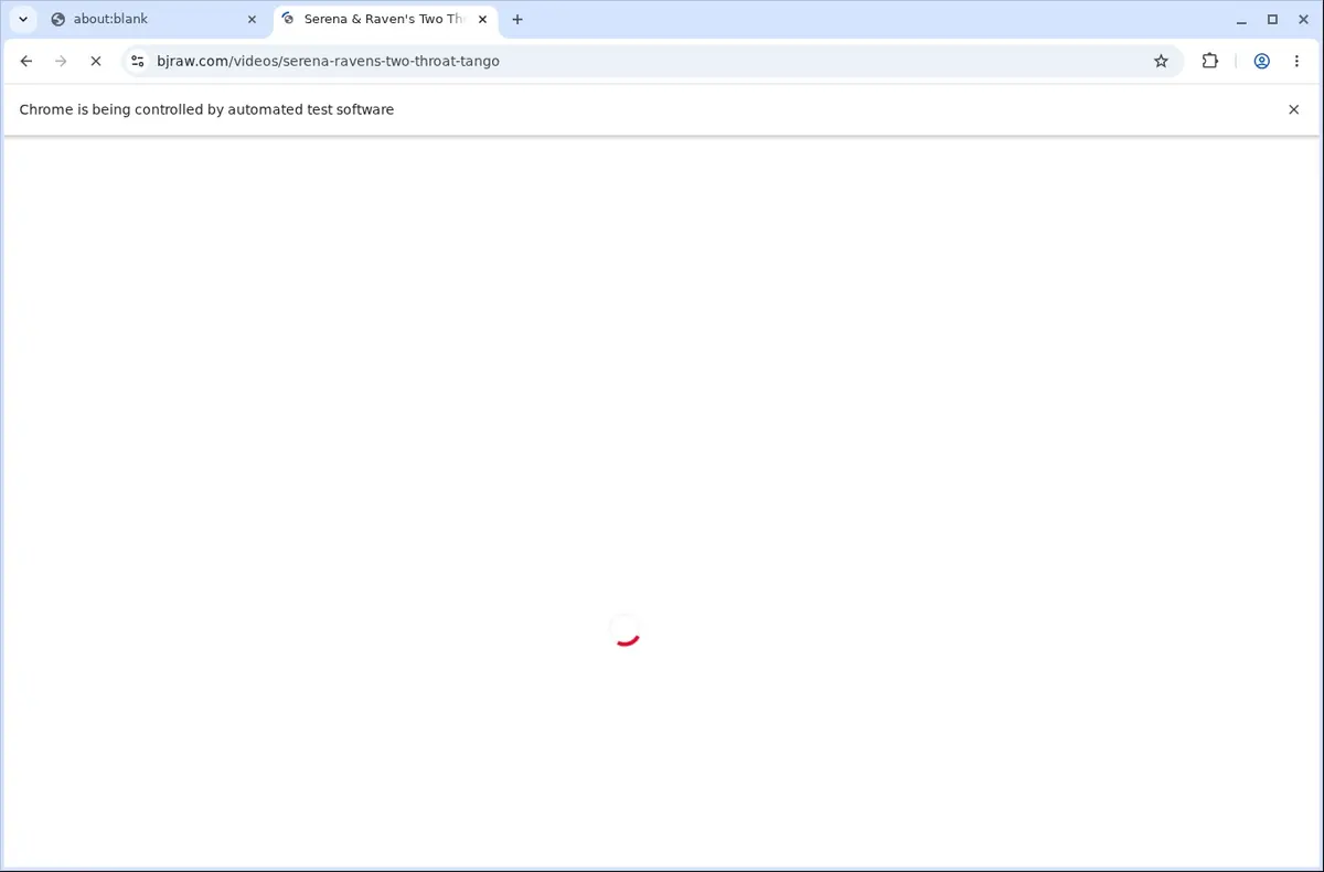 BJRaw Video Downloader page open in the browser