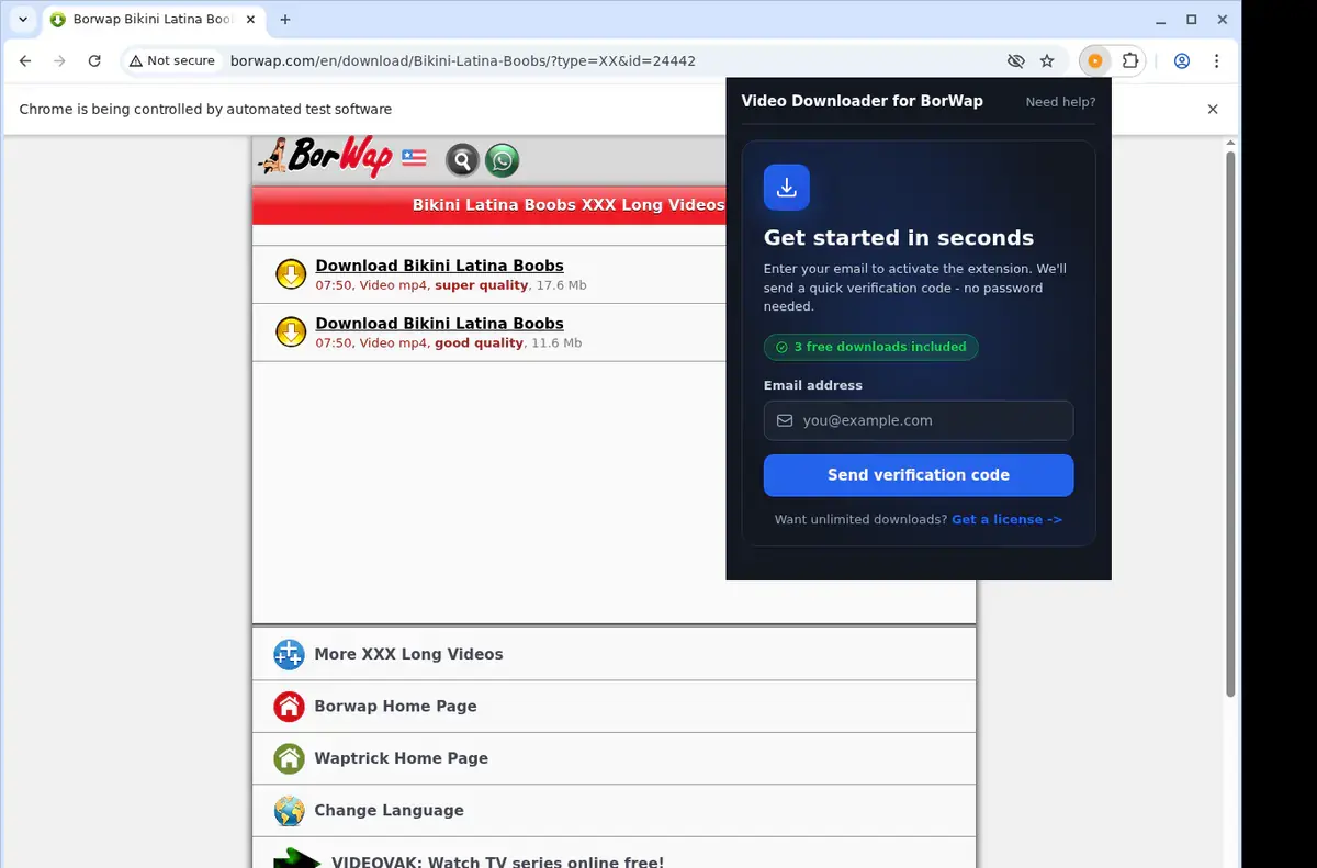 BorWap Downloader showing detected media ready to download