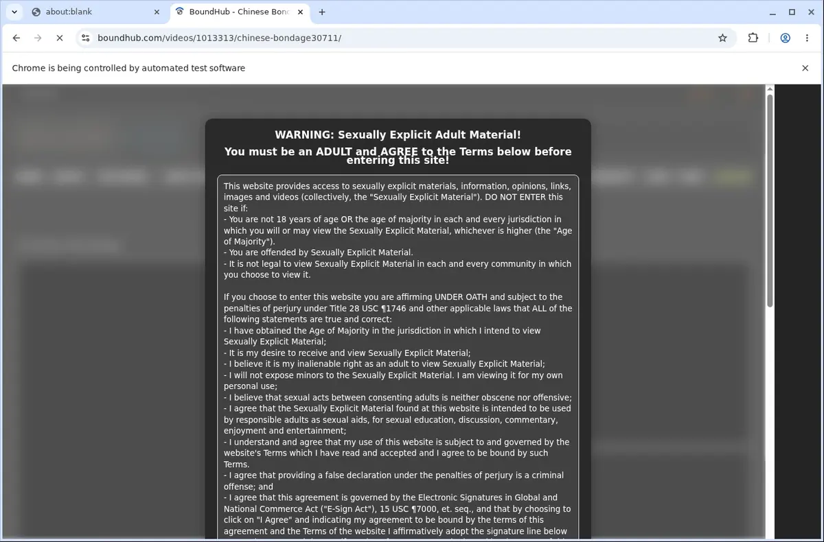 BoundHub Video Downloader page open in the browser