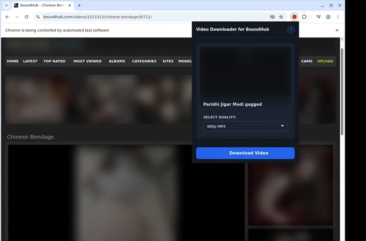 BoundHub Video Downloader showing detected media ready to download