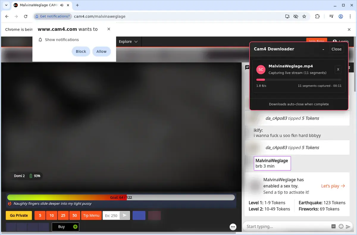 Cam4 Video Downloader download progress panel
