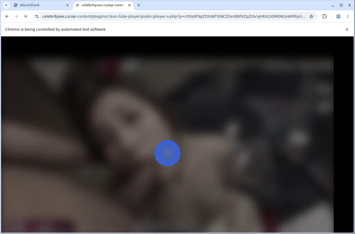 Celebritysex Video Downloader page open in the browser