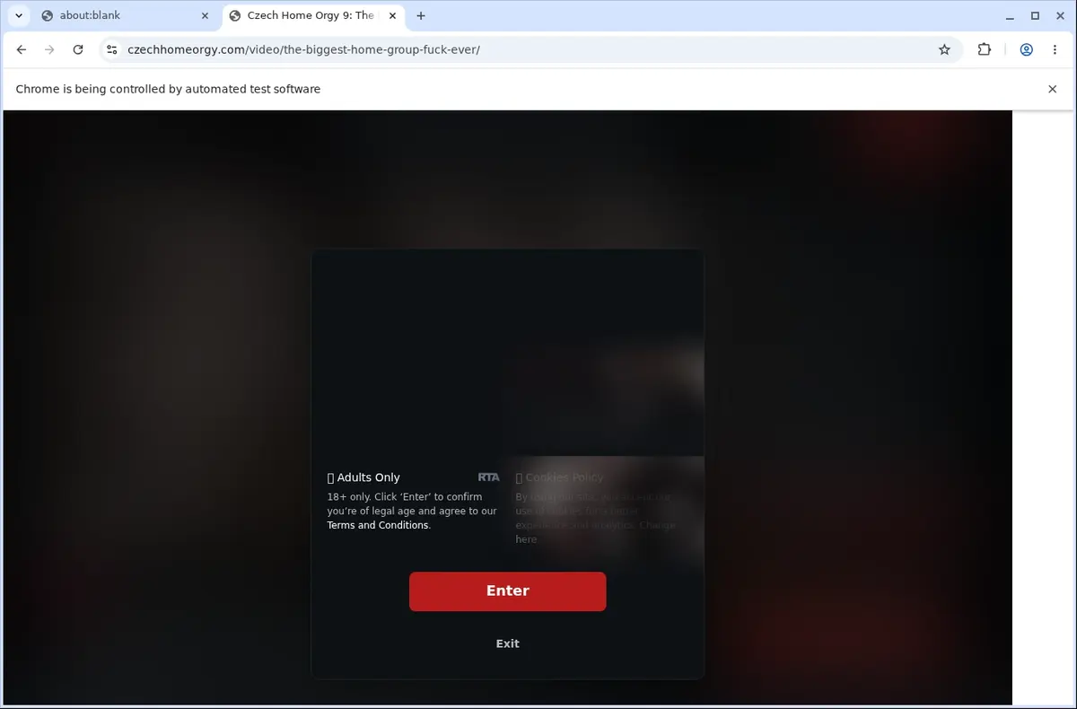 CzechHomeOrgy Video Downloader page open in the browser
