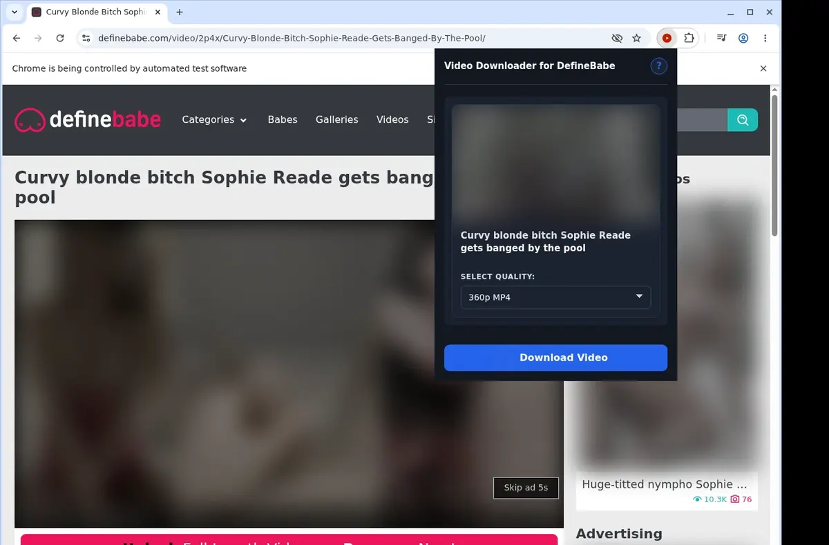 DefineBabe Downloader showing detected media ready to download