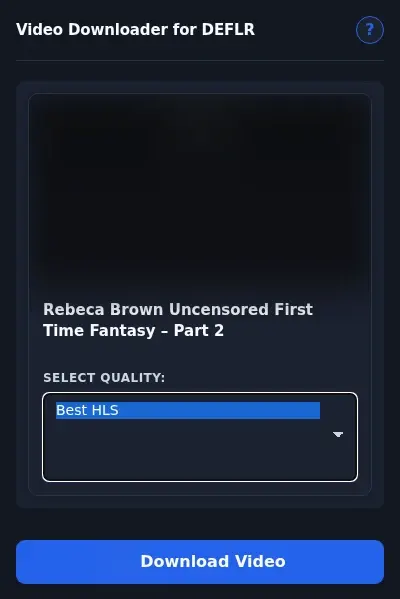 DEFLR Downloader format dropdown options
