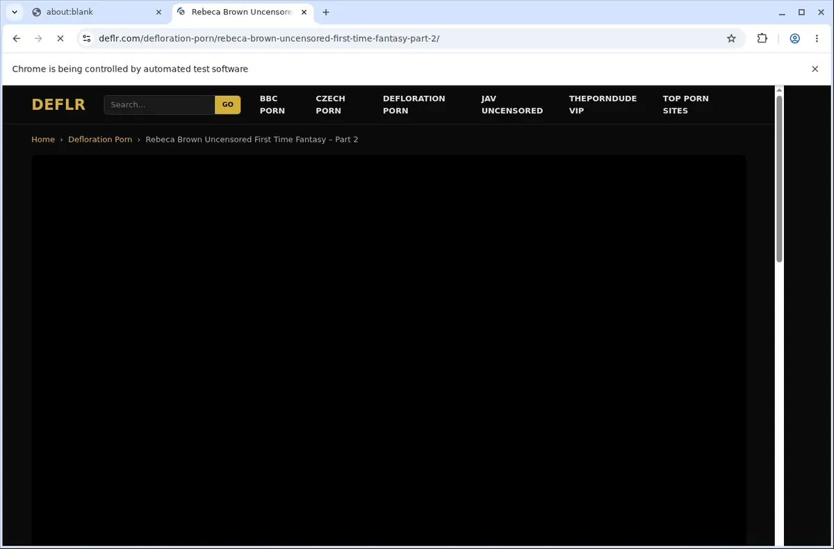 DEFLR Downloader page open in the browser