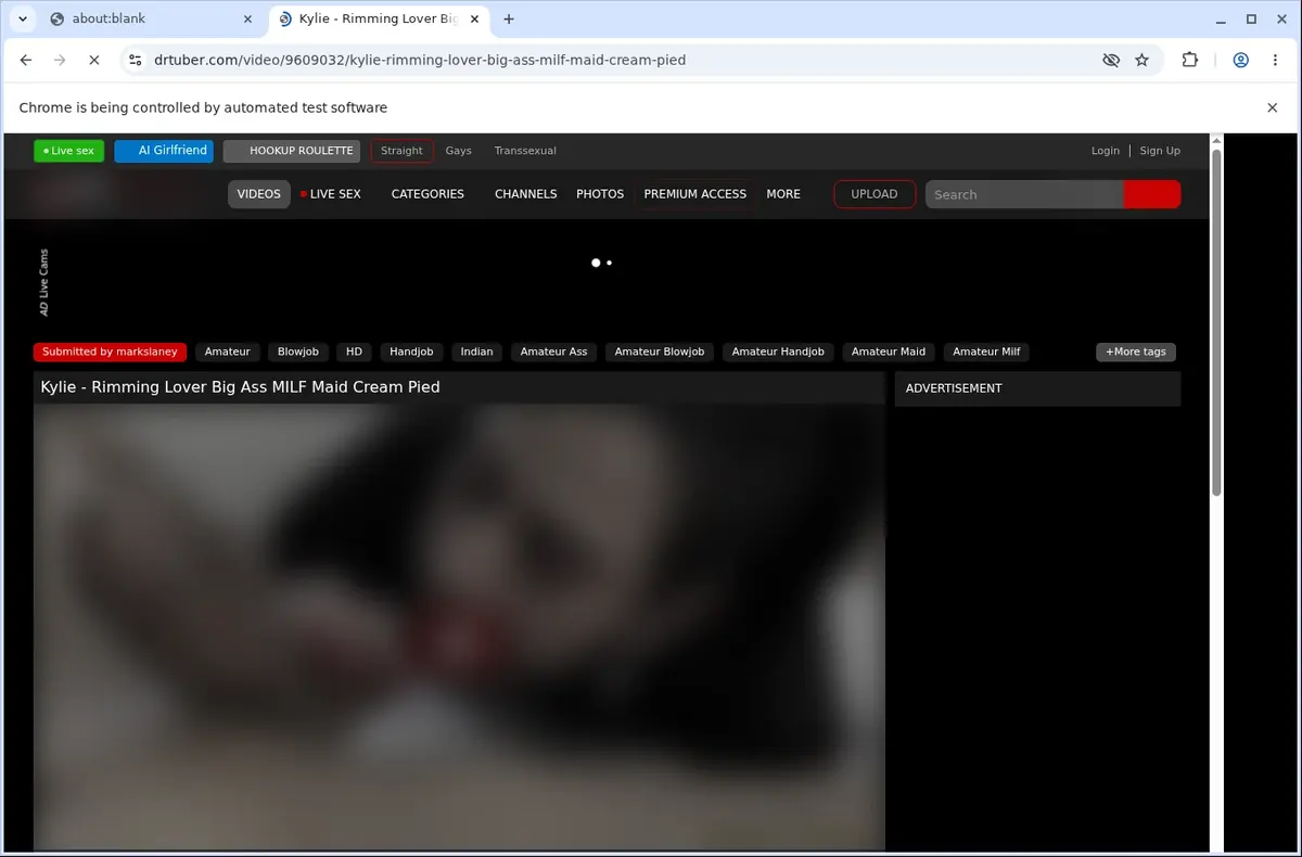 DrTuber Downloader page open in the browser