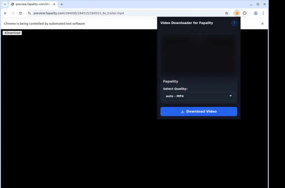 Fapality Downloader showing detected media ready to download