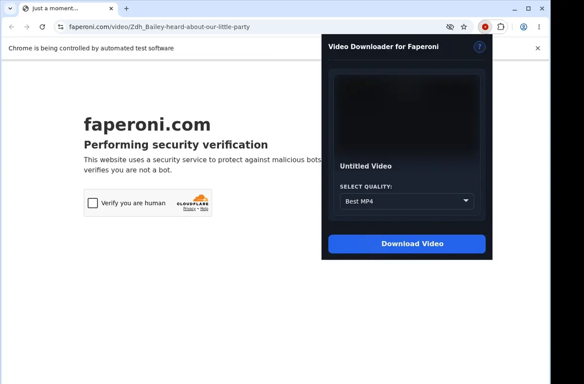 Faperoni Downloader showing detected media ready to download