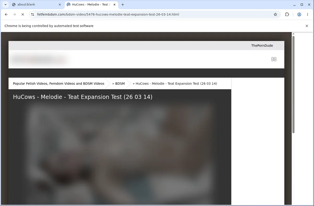 Fetfembdsm Downloader page open in the browser