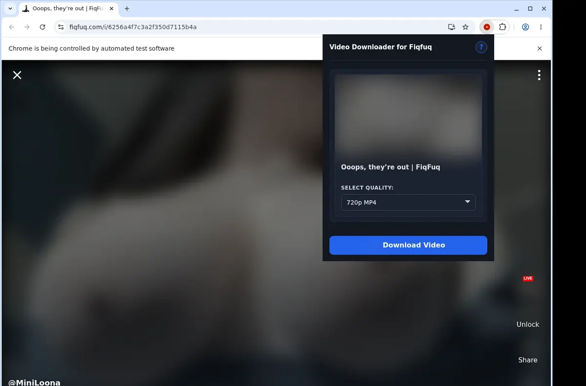 FiqFuq Video Downloader showing detected media ready to download