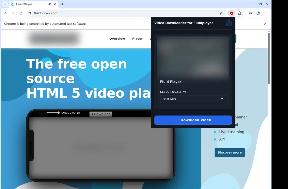 Fluid Player Downloader showing detected media ready to download