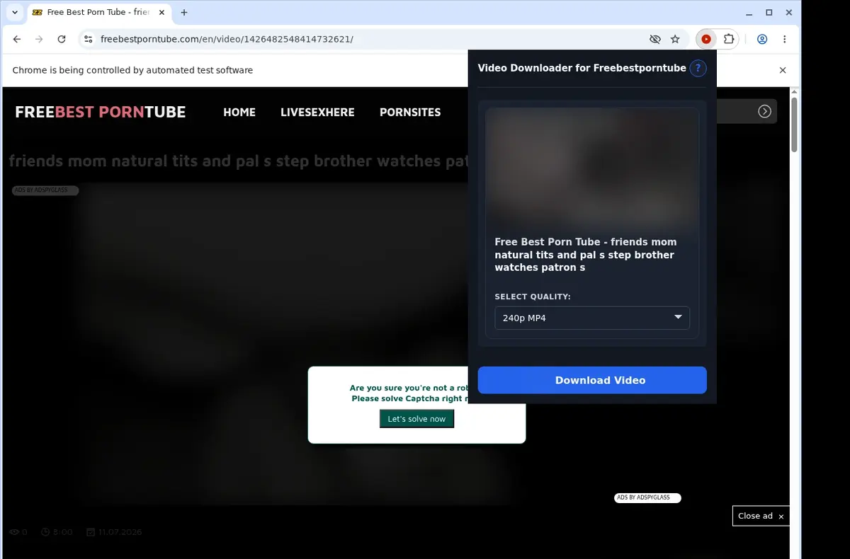 Freebestporntube Downloader showing detected media ready to download