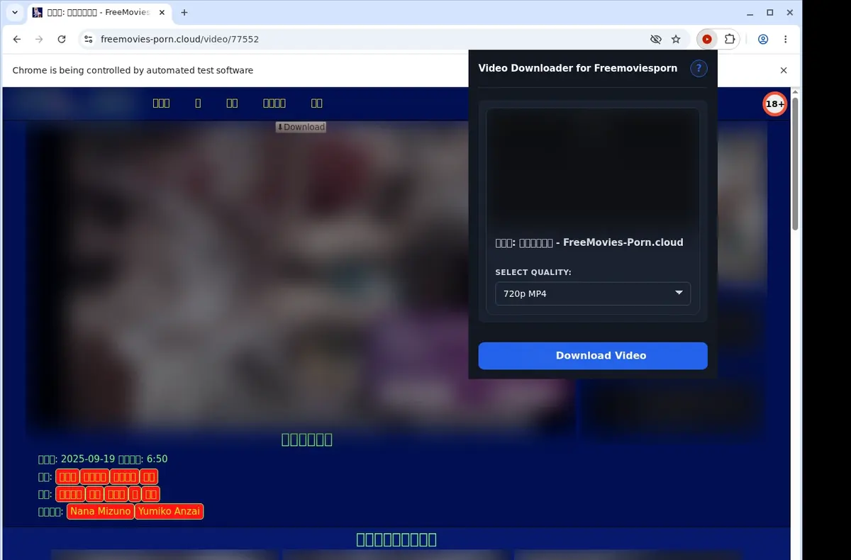 Freemoviesporn Video Downloader showing detected media ready to download