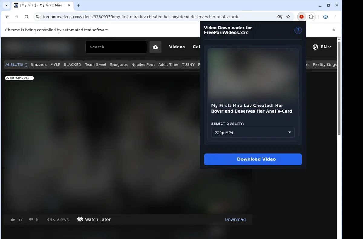 FreePornVideos.xxx Downloader showing detected media ready to download