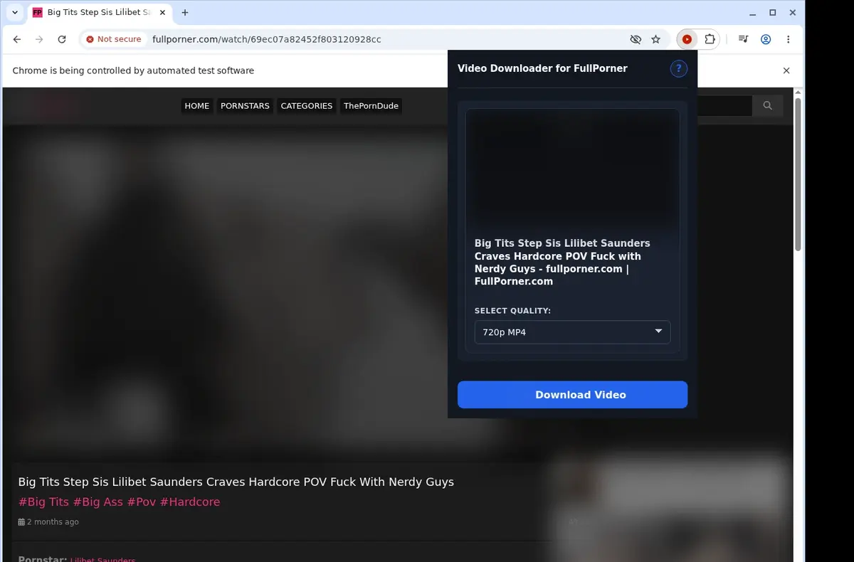 FullPorner Downloader showing detected media ready to download