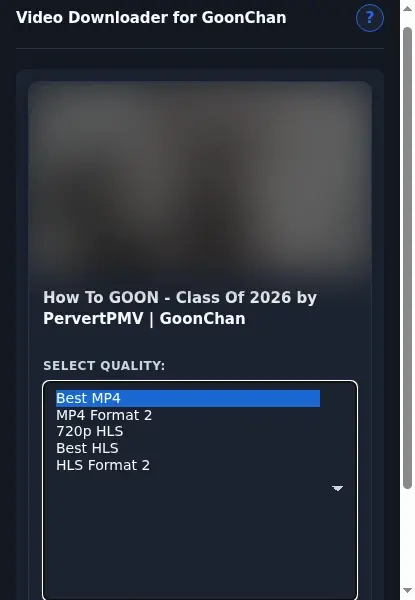 GoonChan Downloader format dropdown options