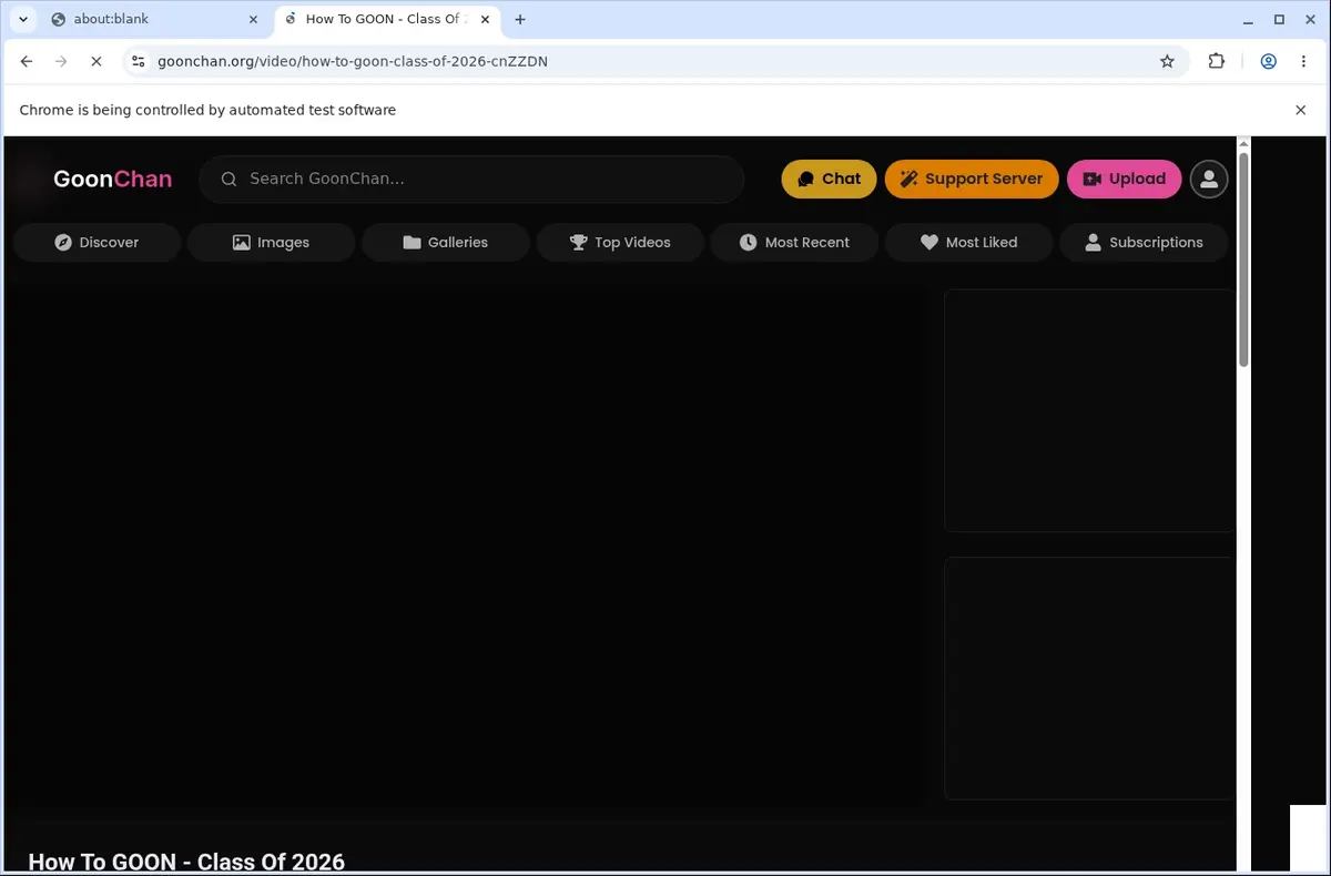 GoonChan Downloader page open in the browser