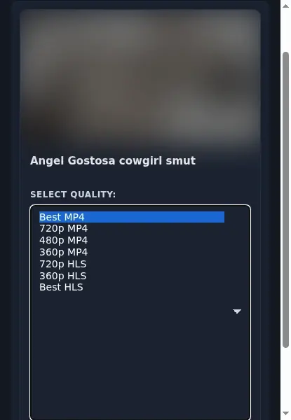 Hello Porn Downloader format dropdown options