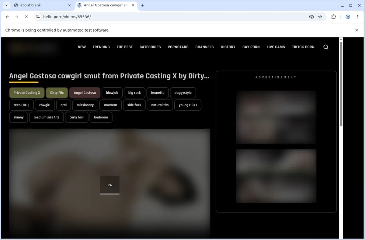 Hello Porn Downloader page open in the browser
