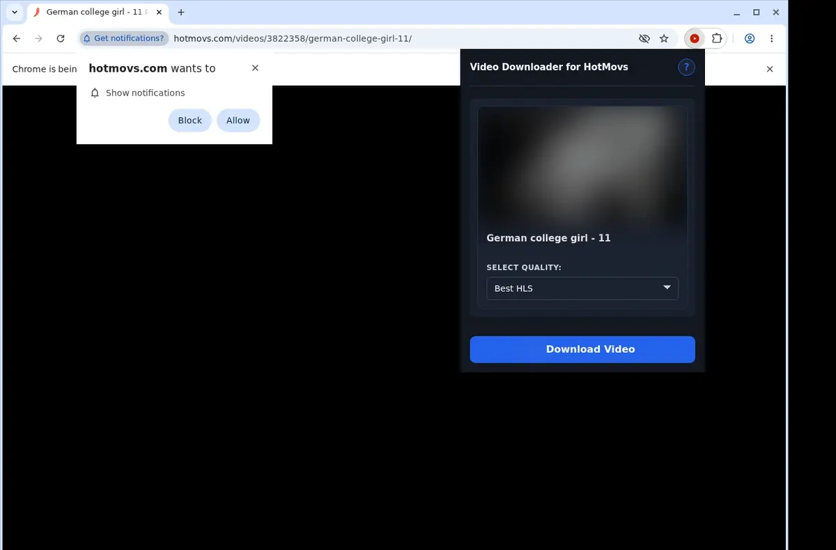 HotMovs Downloader showing detected media ready to download