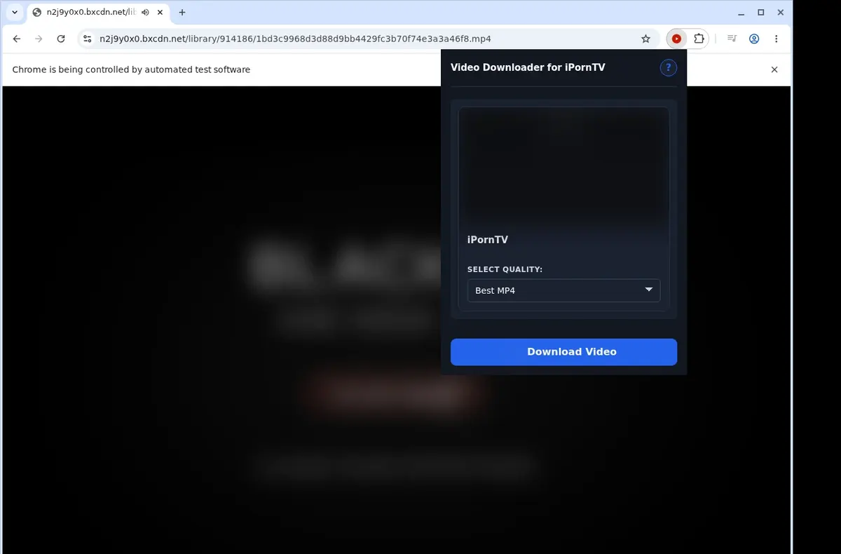 iPornTV Downloader showing detected media ready to download