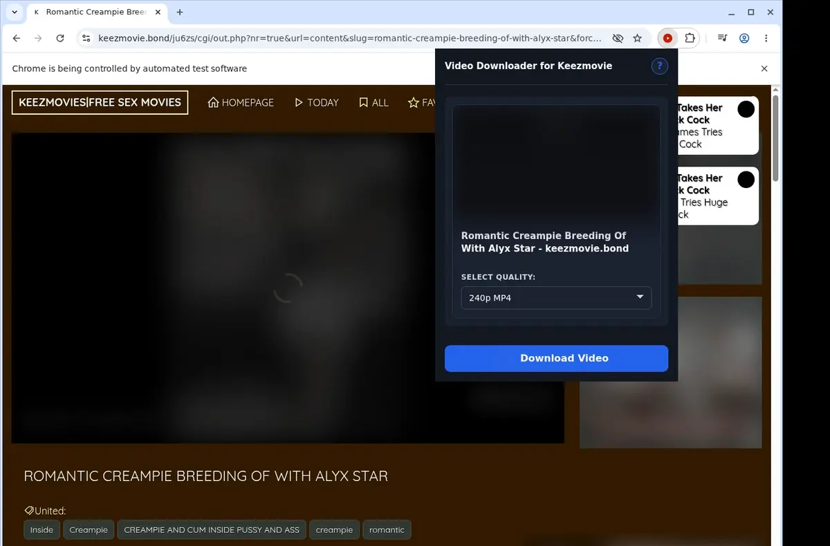 Keezmovie Downloader showing detected media ready to download