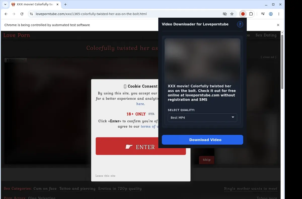 Loveporntube Video Downloader showing detected media ready to download