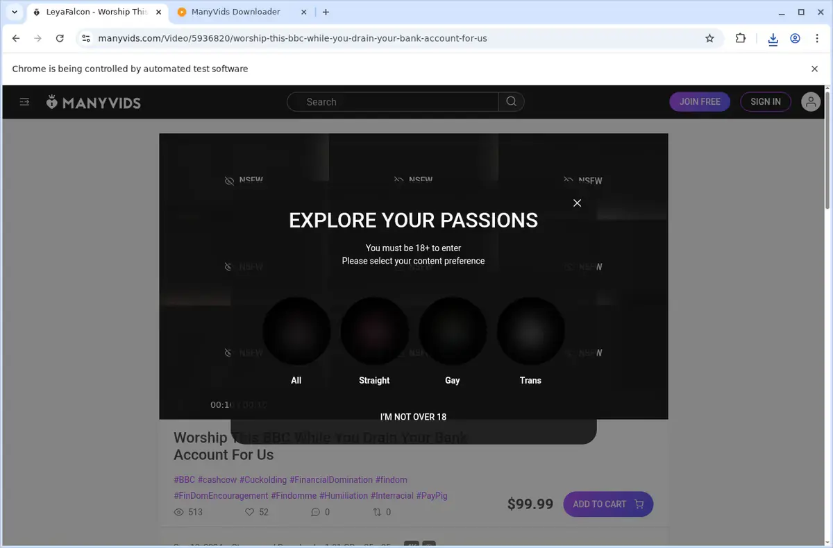 ManyVids Video Downloader download progress panel