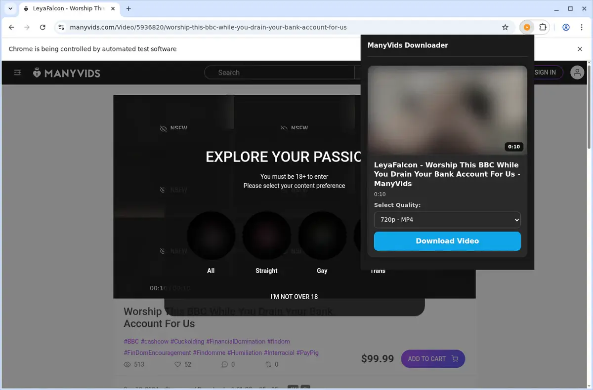 ManyVids Video Downloader showing detected media ready to download