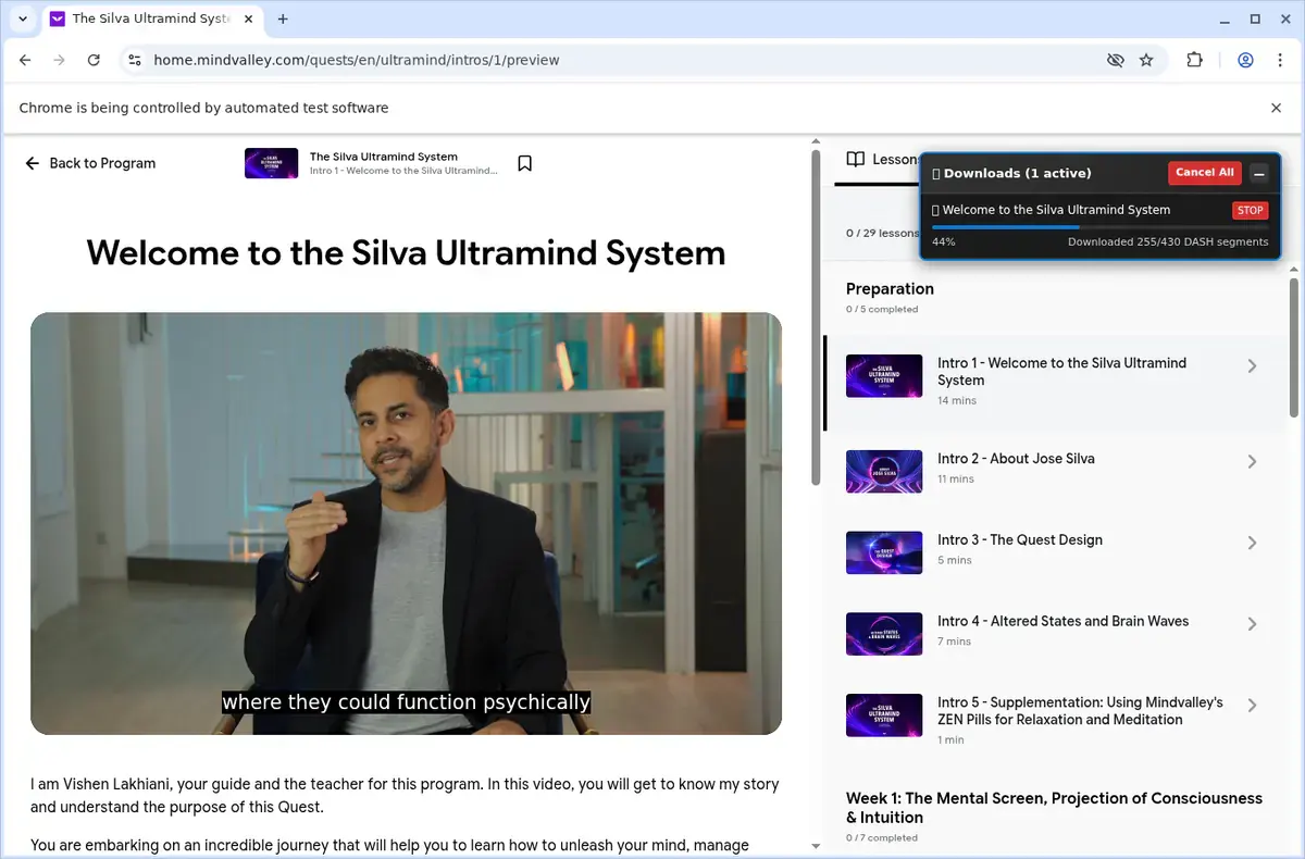 Mindvalley Video Downloader download progress panel