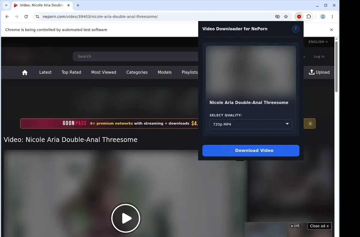 NePorn Downloader showing detected media ready to download