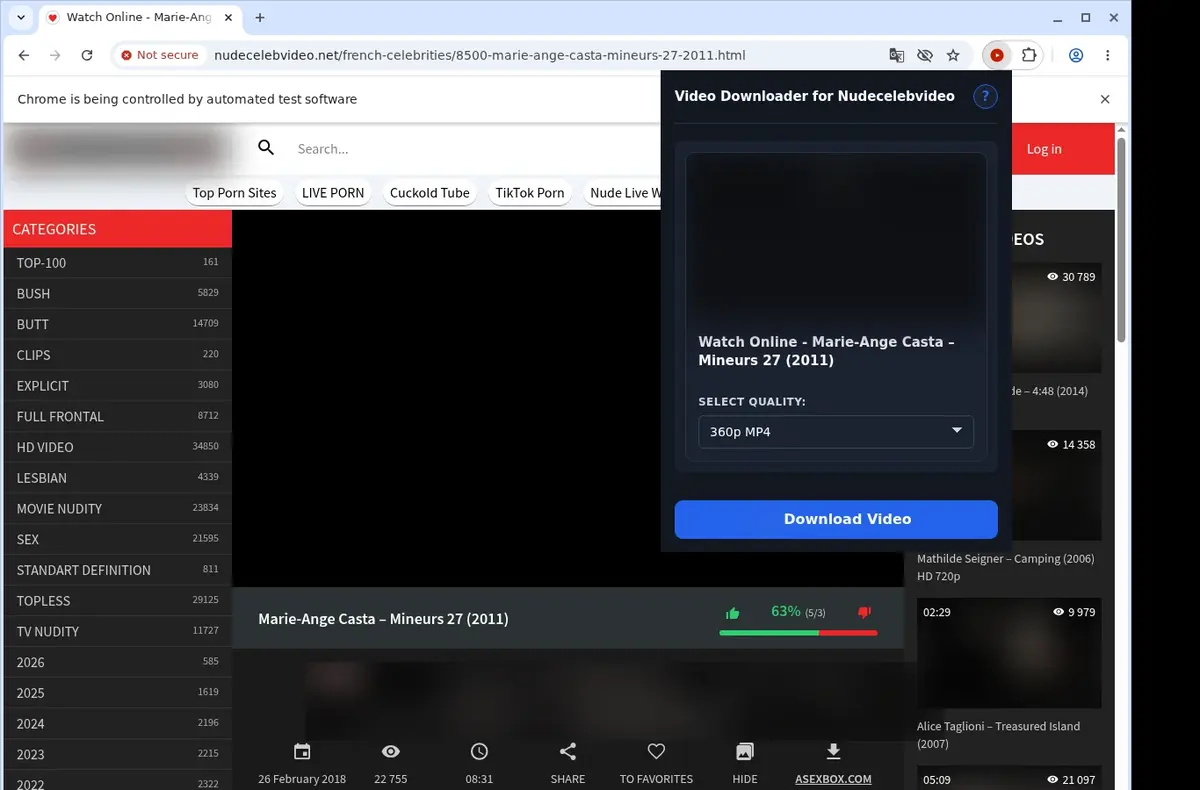 NudeCelebVideo Downloader showing detected media ready to download
