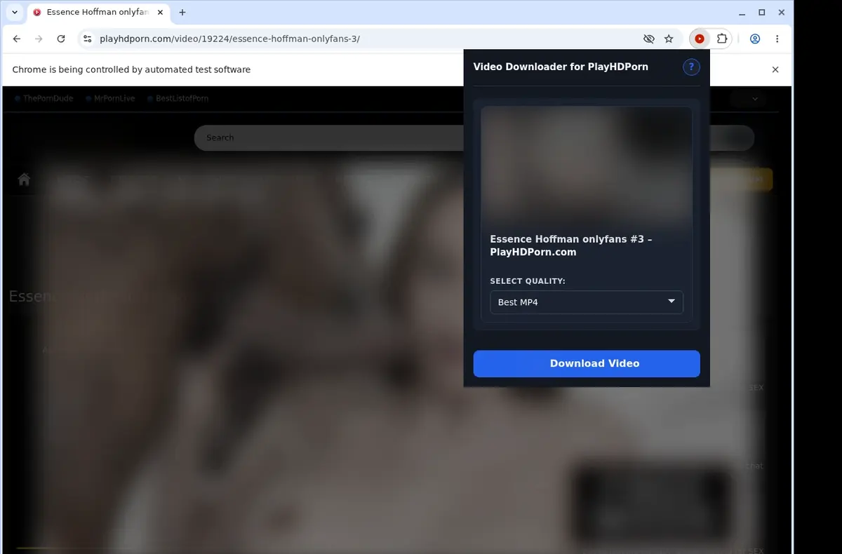 PlayHDPorn Downloader showing detected media ready to download