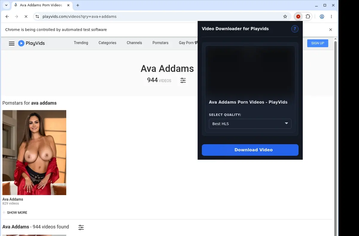 PlayVids Video Downloader showing detected media ready to download