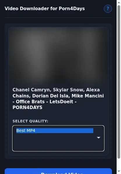 Porn4Days Downloader format dropdown options