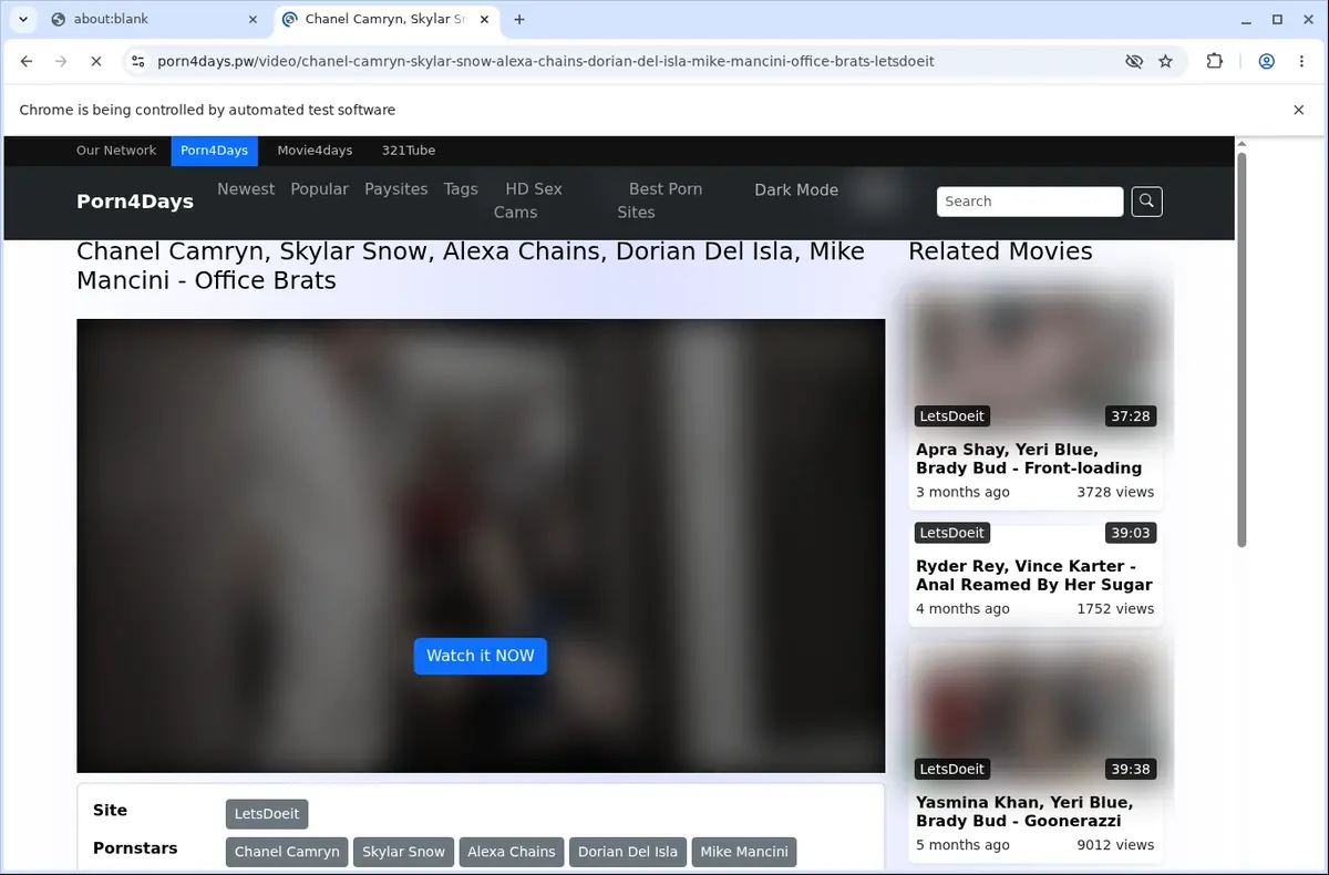 Porn4Days Downloader page open in the browser