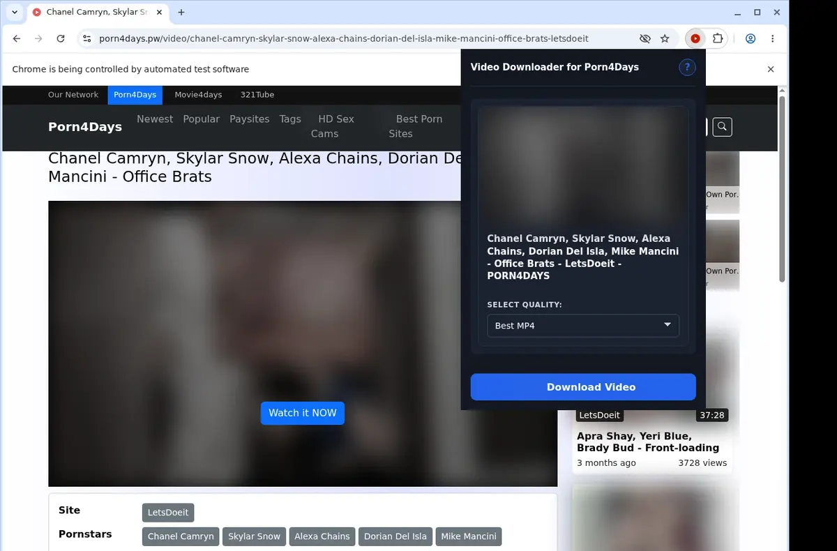 Porn4Days Downloader showing detected media ready to download