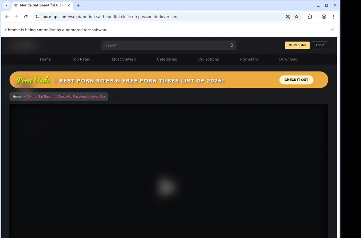 Porn API Downloader page open in the browser