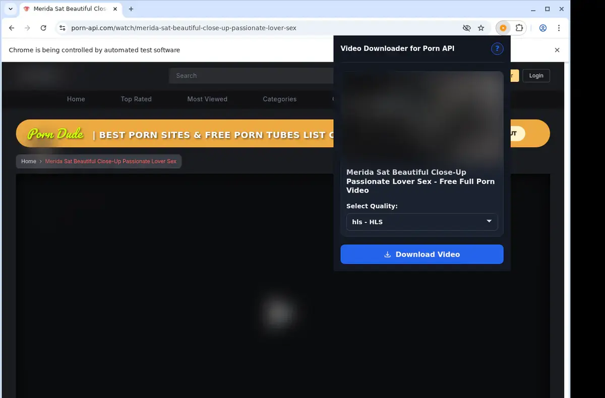 Porn API Downloader showing detected media ready to download