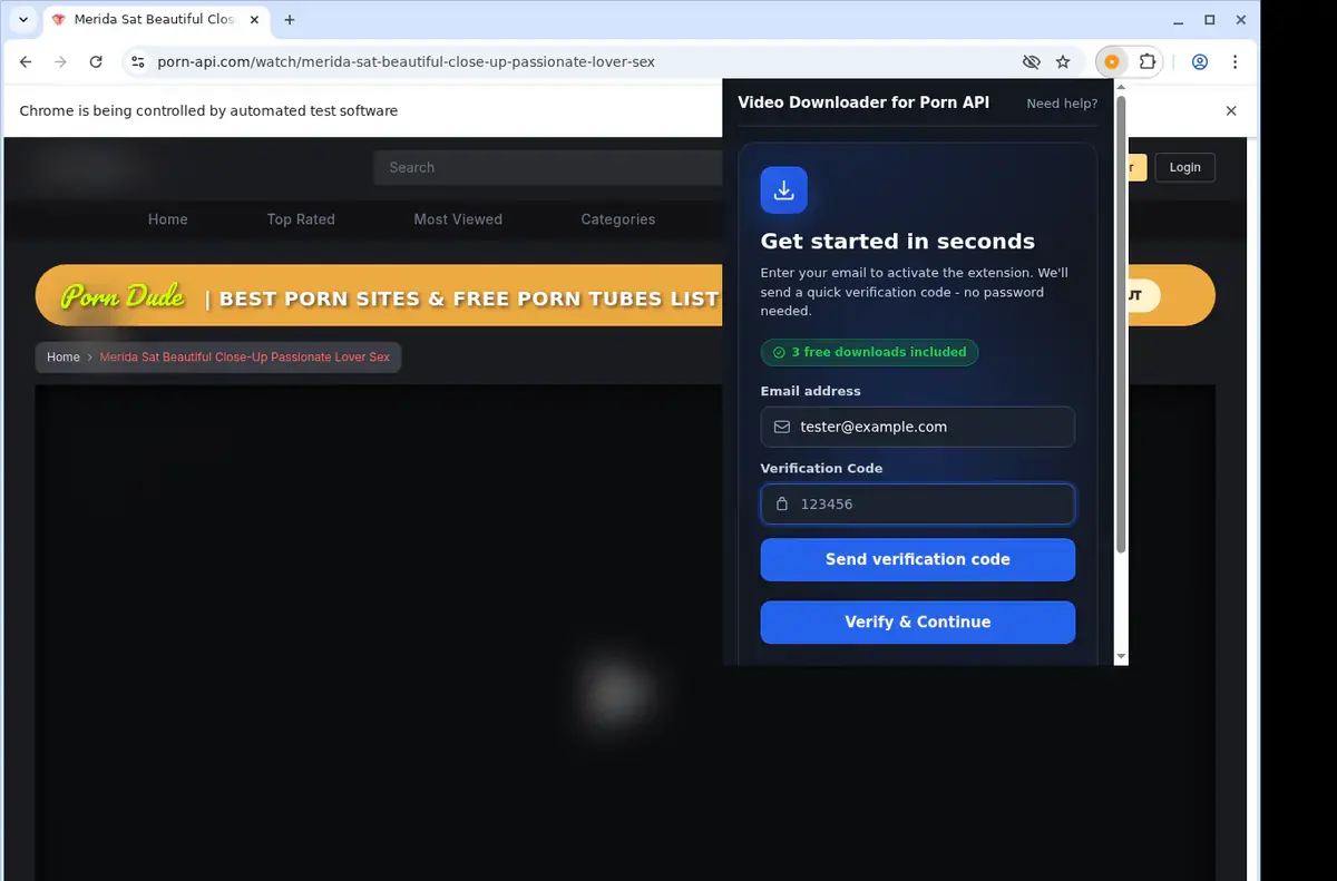 Porn API Downloader format selection and save step