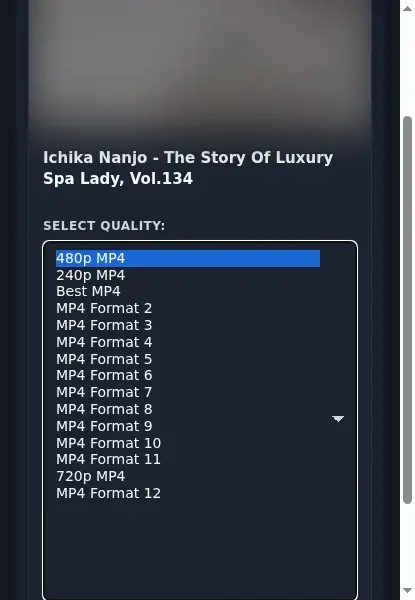 PornBusy Downloader format dropdown options