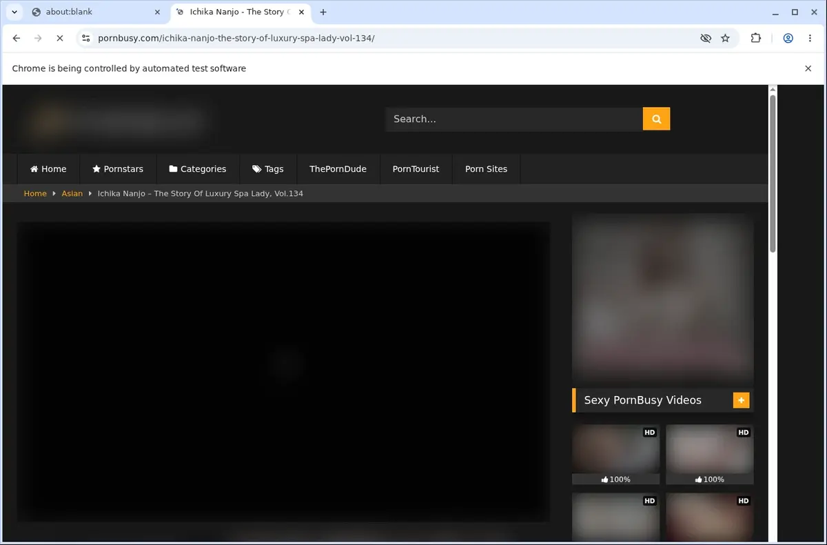 PornBusy Downloader page open in the browser