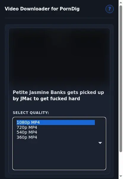 PornDig Downloader format dropdown options