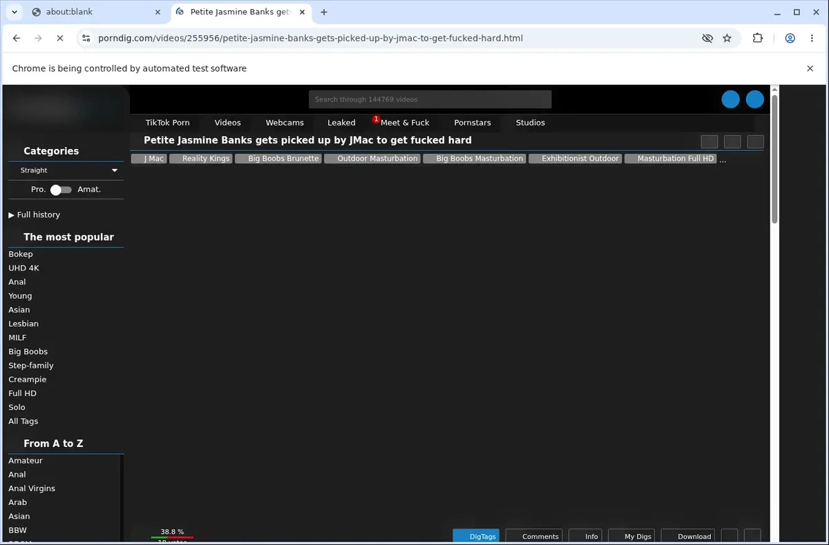 PornDig Downloader page open in the browser
