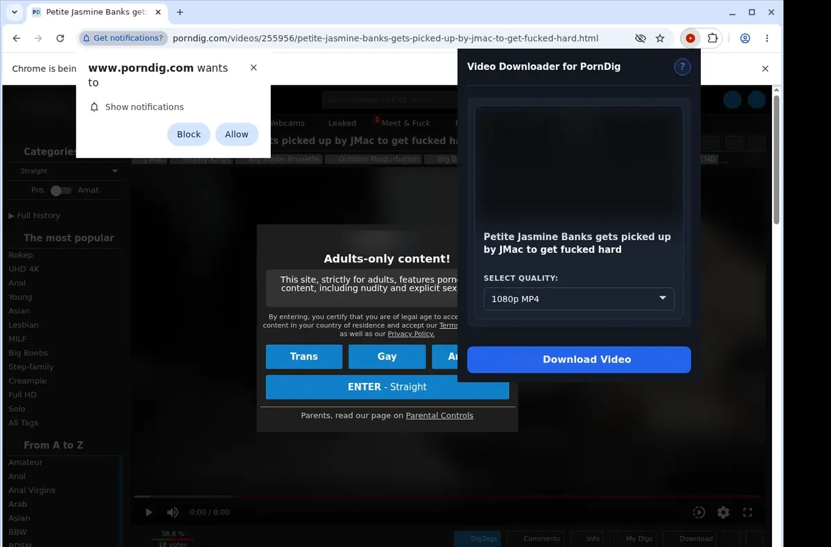 PornDig Downloader showing detected media ready to download