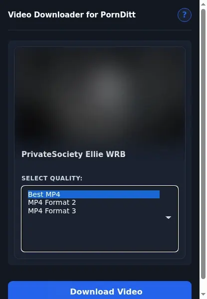 PornDitt Downloader format dropdown options
