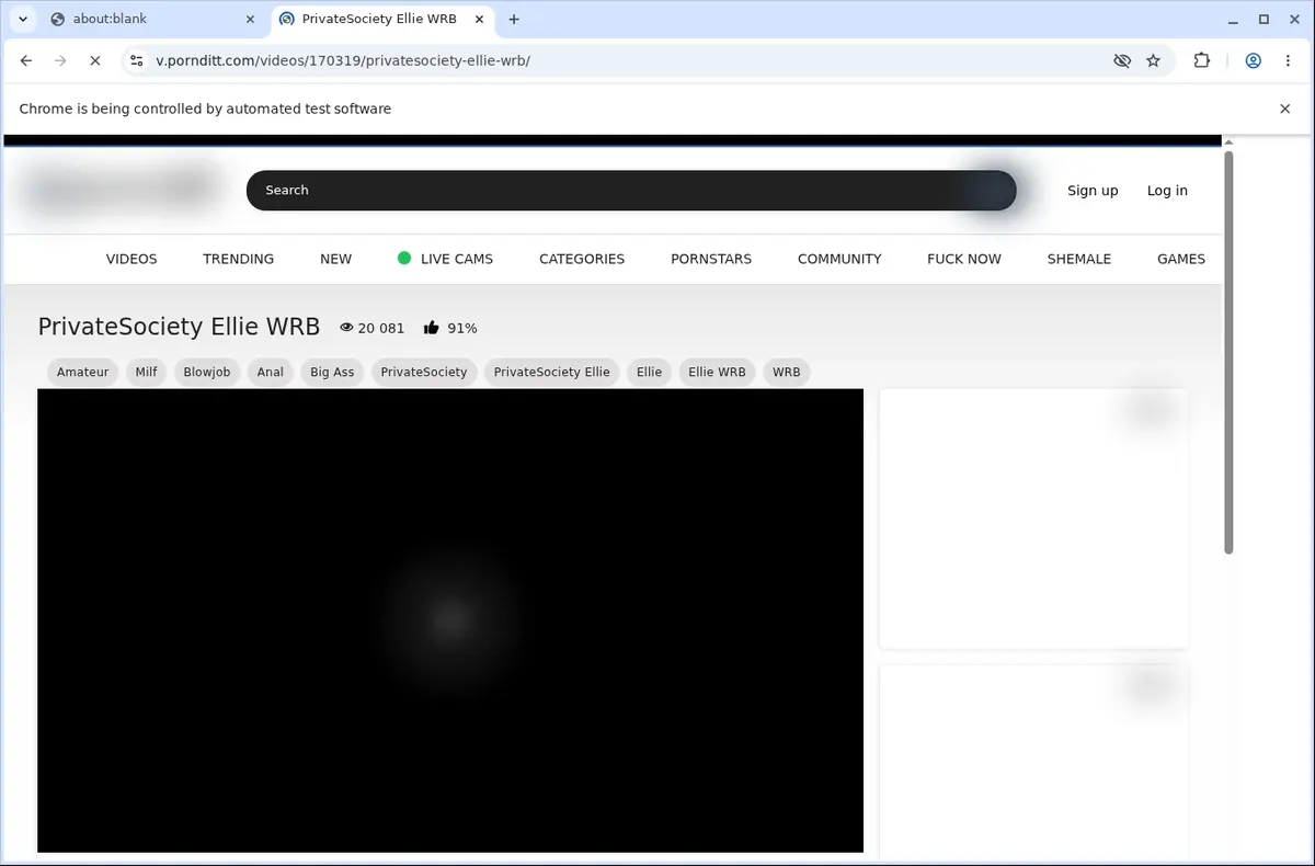 PornDitt Downloader page open in the browser