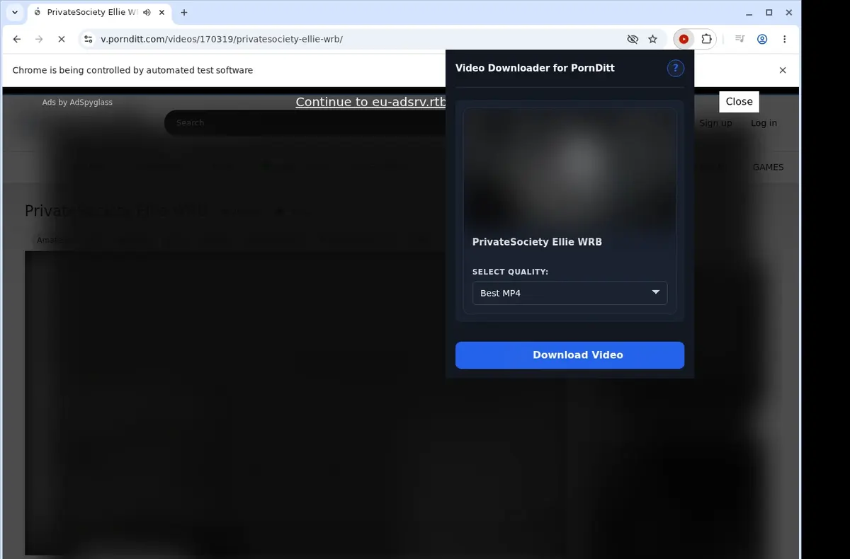 PornDitt Downloader showing detected media ready to download